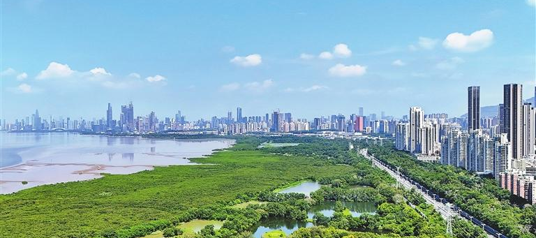 Ministros florestais da APEC reúnem-se em Shenzhen